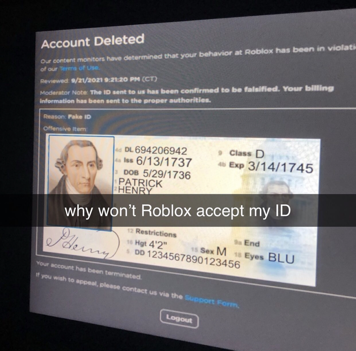 Roblox: If You Couldn't Choose Your ROBLOX Username by Hari Mita