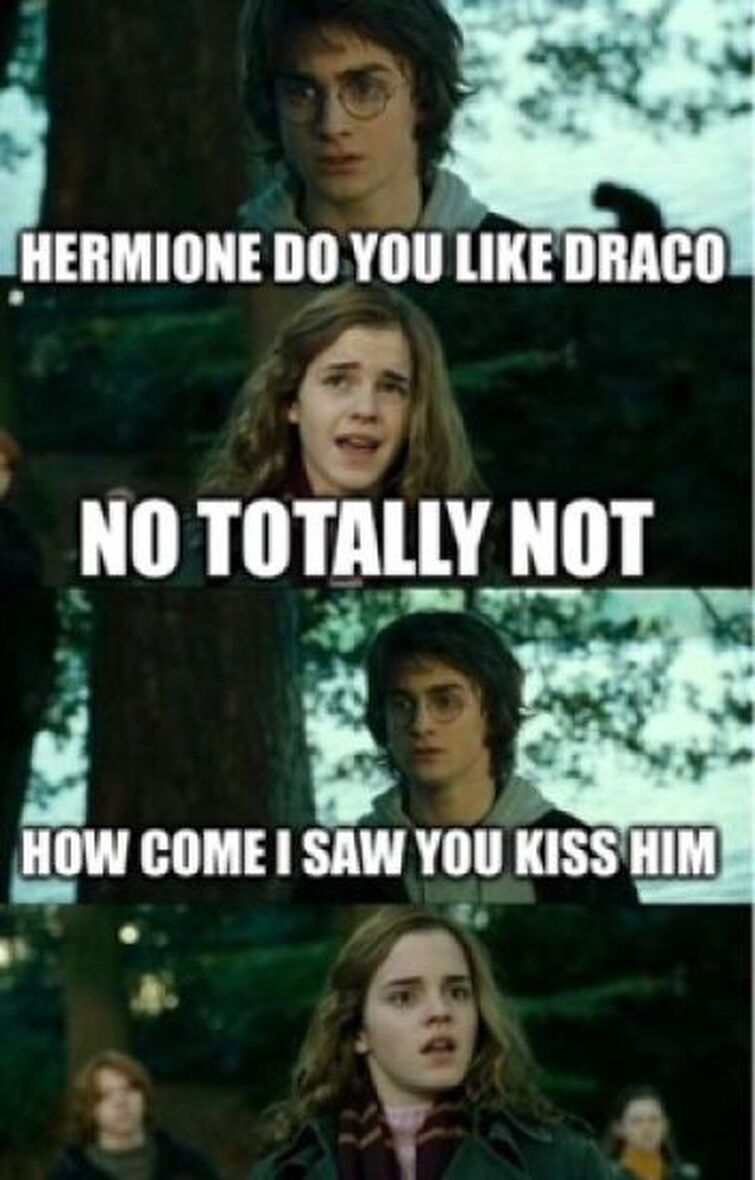 Voldemort and Hermione, Harry Potter Memes