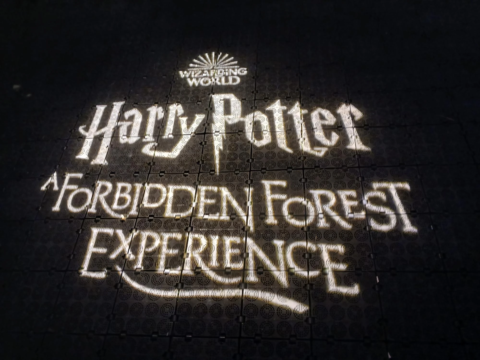 Harry Potter, A Forbidden Forest Experience | Fandom