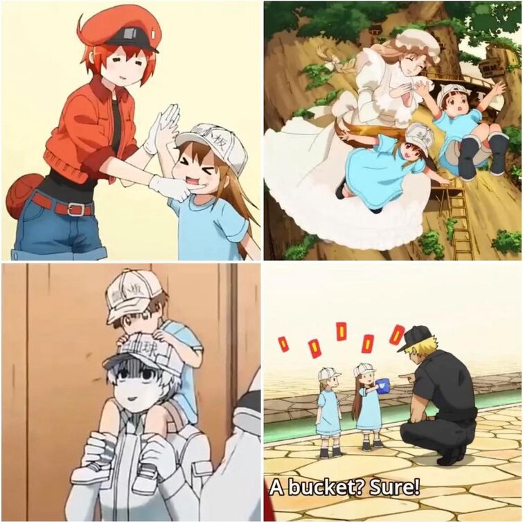 Fandom Image