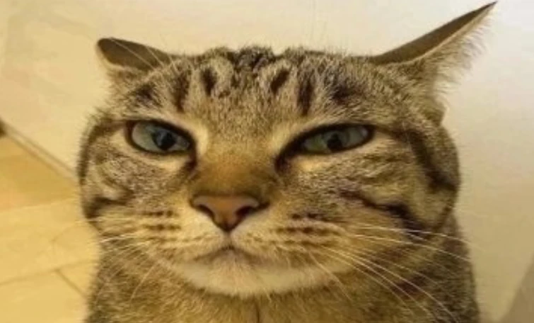 Pet Bucket Blog Page 49 - PetBucket