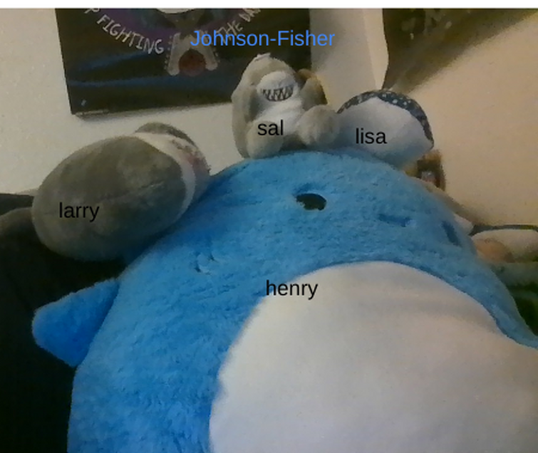 Fandom Image