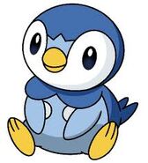 Piplup, Dawn's starter Pokemon