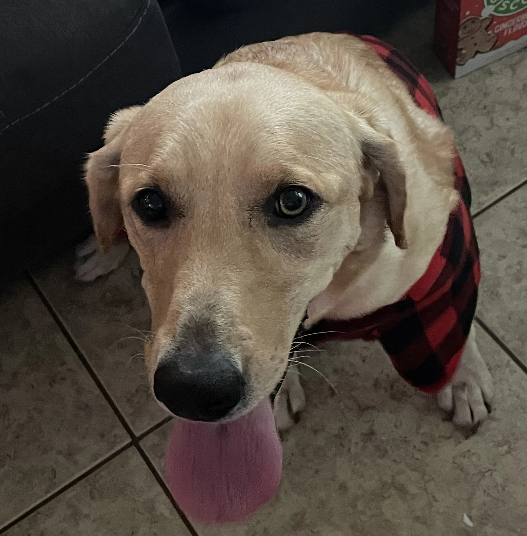 She wants you to snuggle with her Fandom