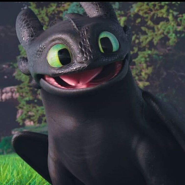 Is Toothless Really A Very Cute Night Fury Fandom