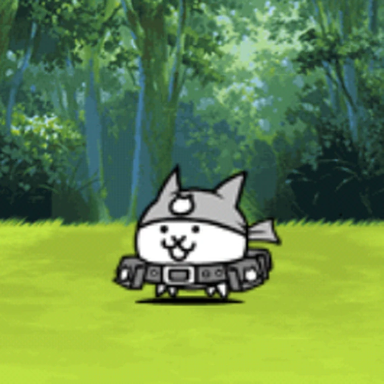 Top 10 Best Cats in The Battle Cats + Advice for Beginners Fandom