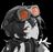 DaKatsBattl's avatar