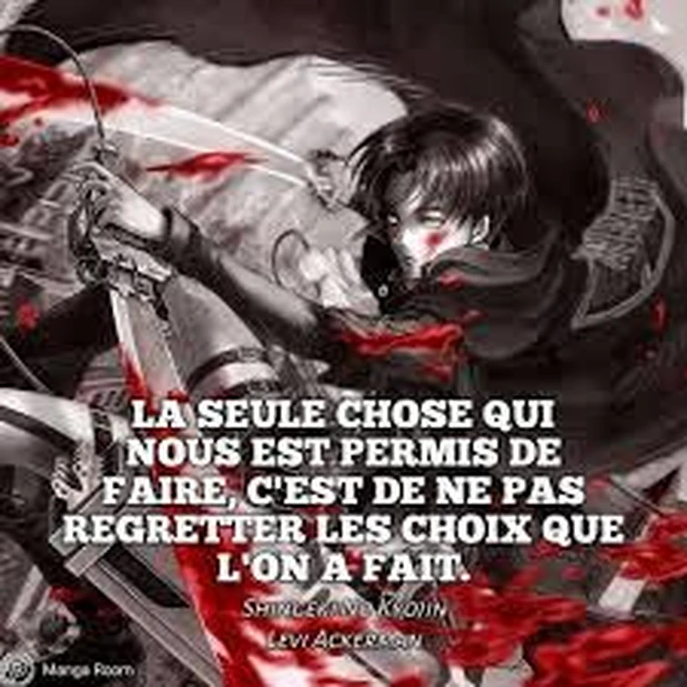 Citations Mangas Snk Et Plein D Autres Fandom