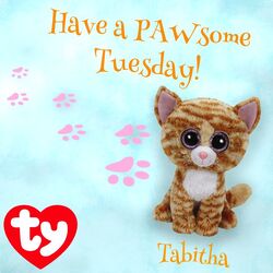Tabitha beanie sale boo