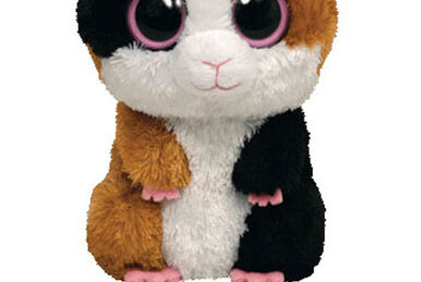Nibbles the guinea pig beanie boo hotsell