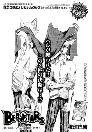 Amazon.com: BEASTARS(6)(少年チャンピオン・コミックス