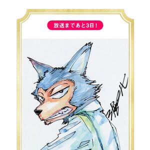 Beastars Anime Beastars Wiki Fandom Beastars Anime Beastars Wiki Fandom