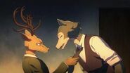 PV 3 of the Beastars anime.