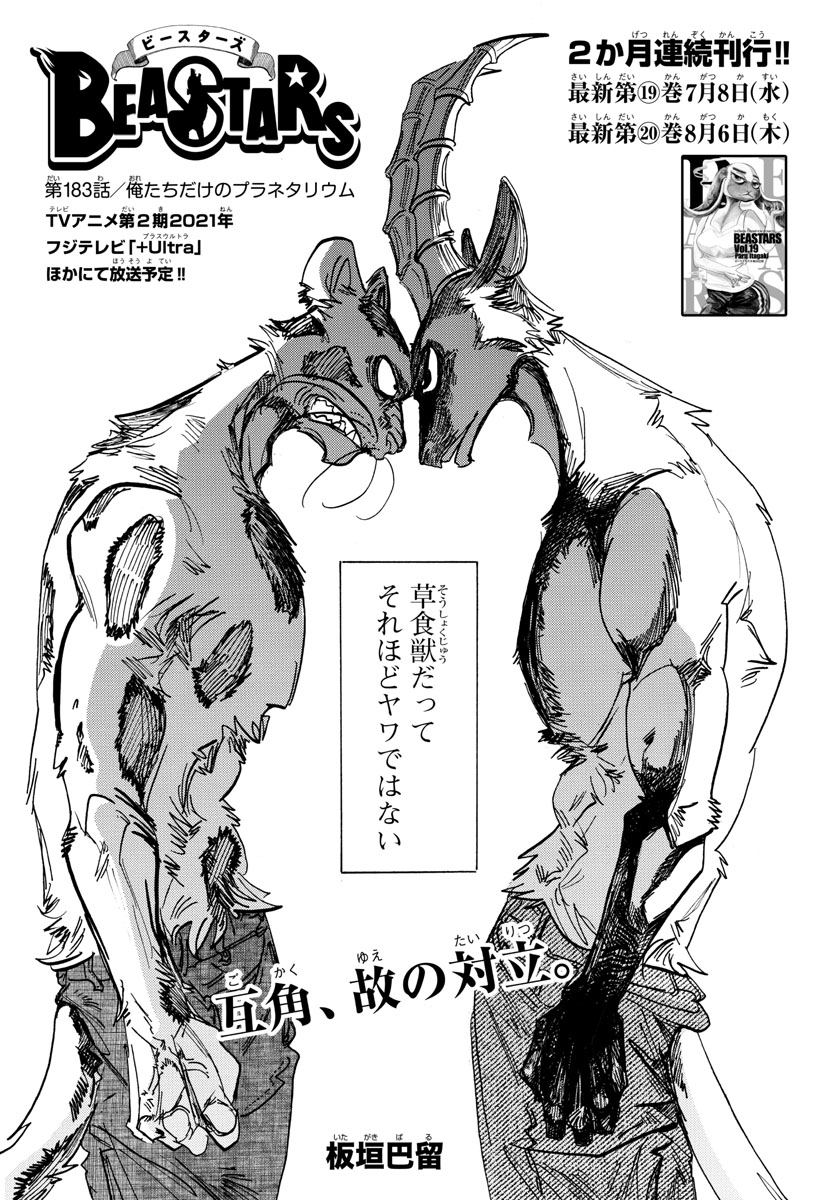Chapter 1 Beastars Beastars Wiki Fandom