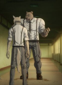 Riz Image Gallery Beastars Wiki Fandom