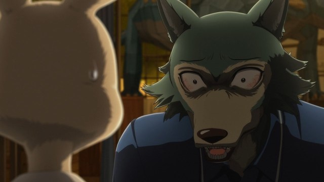Haru Relationships Beastars Wiki Fandom