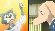 Legoshi/Image Gallery | Beastars Wiki | Fandom