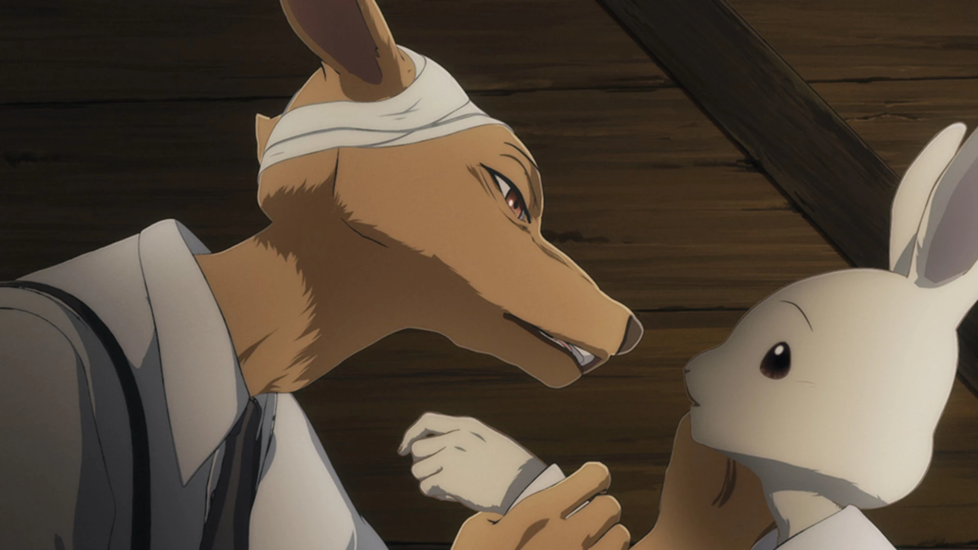 Episode 07 Beastars Wiki Fandom Episode 07 Beastars Wiki Fandom