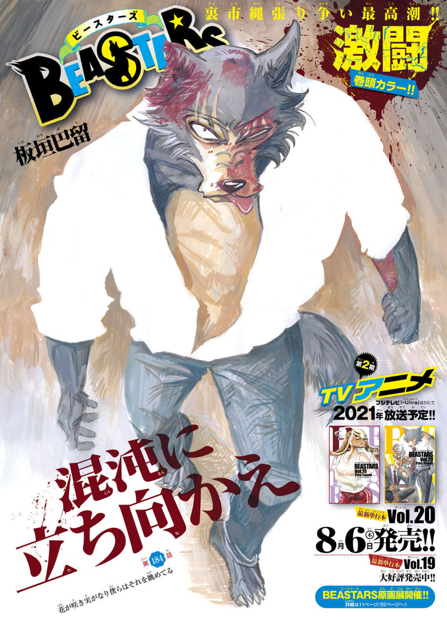 Capitulo 184 Beastars Wiki Fandom Capitulo 184 Beastars Wiki Fandom