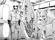 Gohin observa a Legoshi acariciar la losa de carne (Manga).jpg (256 kB)