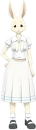 Haru