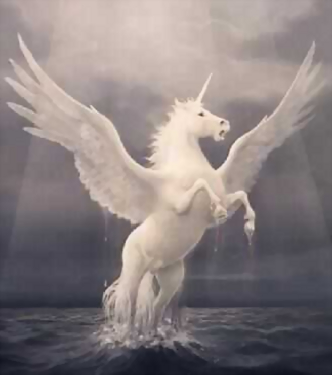 Pegasus | Beastology Wiki | Fandom Pegasus | Beastology Wiki | Fandom