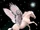 Pegasus
