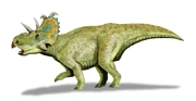 An Albertaceratops.