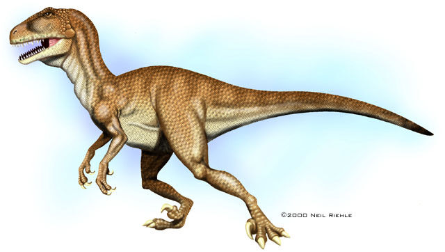 Deinonychus, Wiki