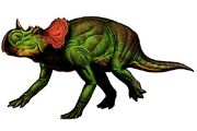 Avaceratops