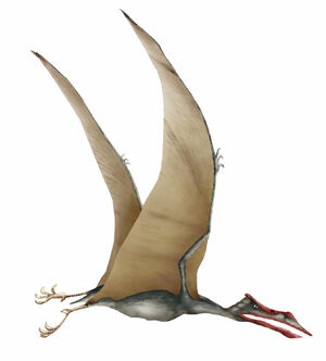A Quetzalcoatlus flying.