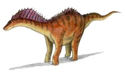 An Amargasaurus.