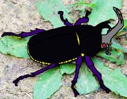 As a Rhinoceros Beetle