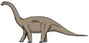 A Cetiosaurus.