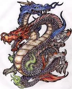 Two Chinese Dragons
