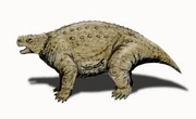 A Bradysaurus.