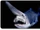 Goblin Shark