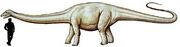 A Cetiosauriscus.