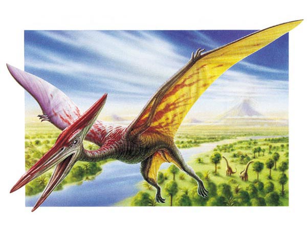 Pteranodon, Beast Wars Transformers Wiki