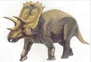 A Chasmosaurus.