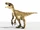 Velociraptor