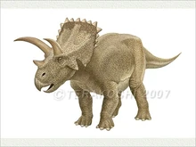 Arrhinoceratops