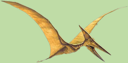 Pteranodon, Beast Wars Transformers Wiki