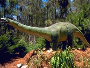 A Brontosaurus.