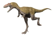 An Albertosaurus.