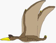 Vortex in beast mode.