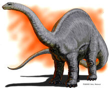 An Apatosaurus.