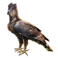 Crowned eagle | Beast Wars Transformers Wiki | Fandom