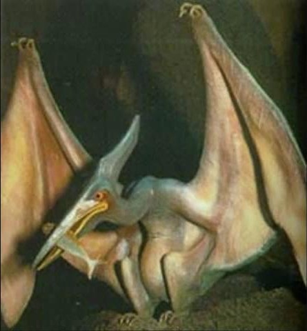 Pteranodon, Beast Wars Transformers Wiki