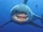 Great White Shark